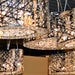 Aramis Polished Chrome Clear Crystal 12 Light Halogen Chandelier - Chandeliers