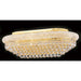 Empire Polished Gold Clear Crystal 18 Light Flushmount - Flushmounts