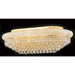 Empire Polished Gold Clear Crystal 18 Light Flushmount - Flushmounts