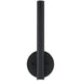 Forest Matte Black LED Wall Sconce - Wall Sconces