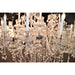 Maria Theresa Polished Chrome Clear Crystal 18 Light Chandelier - Chandeliers