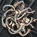 Medusa Polished Chrome Clear Crystal 9 Light Chandelier - Chandeliers