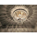 Metropolitan Antique Bronze Clear Crystal 3 Light Flushmount - Flushmounts