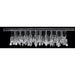 Nadia Polished Chrome Clear Crystal 10 Light Wall Sconce - Wall Sconces