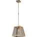 Nautilus Matte Gold 1 Light Pendant - Pendants