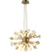 Starburst Matte Gold Clear Crystal 20 Light Chandelier - Chandeliers