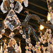 Versailles Dark Bronze Clear Crystal 5 Light Chandelier - Chandeliers