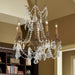 Windsor French Gold Clear Crystal 5 Light Chandelier - Chandeliers